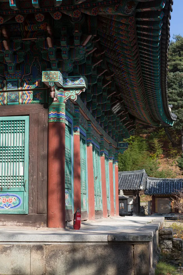 대구 동화사 극락전